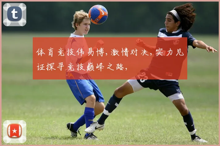 体育竞技伟易博,激情对决,实力见证探寻竞技巅峰之路,